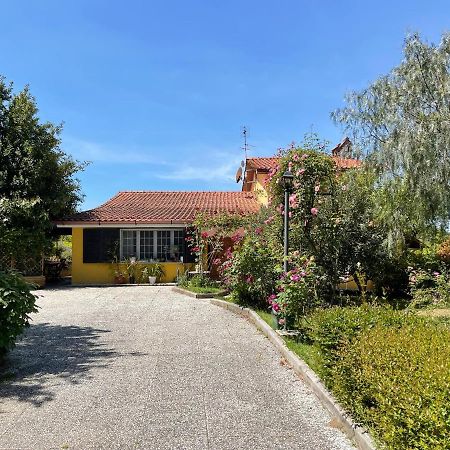 Gallicano nel Lazio Home Sweet Home المظهر الخارجي الصورة